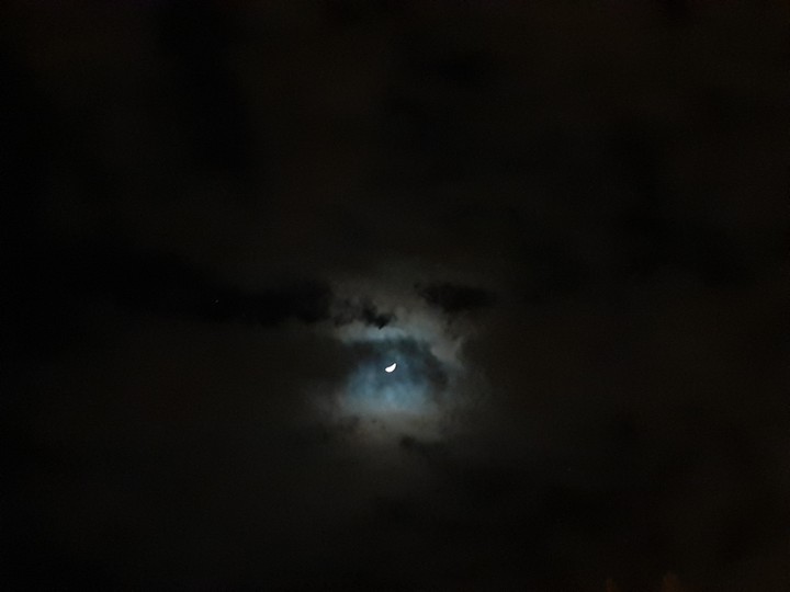 moonlight