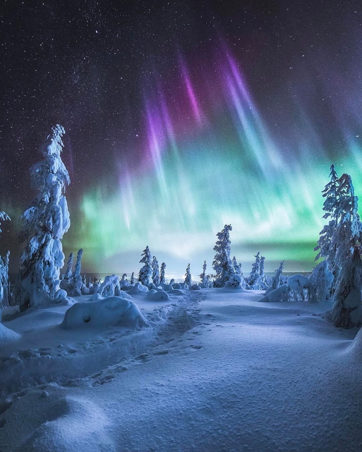 Northern Lights