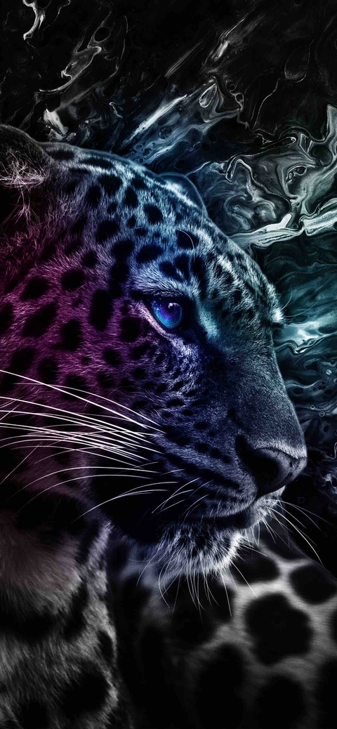 tiger