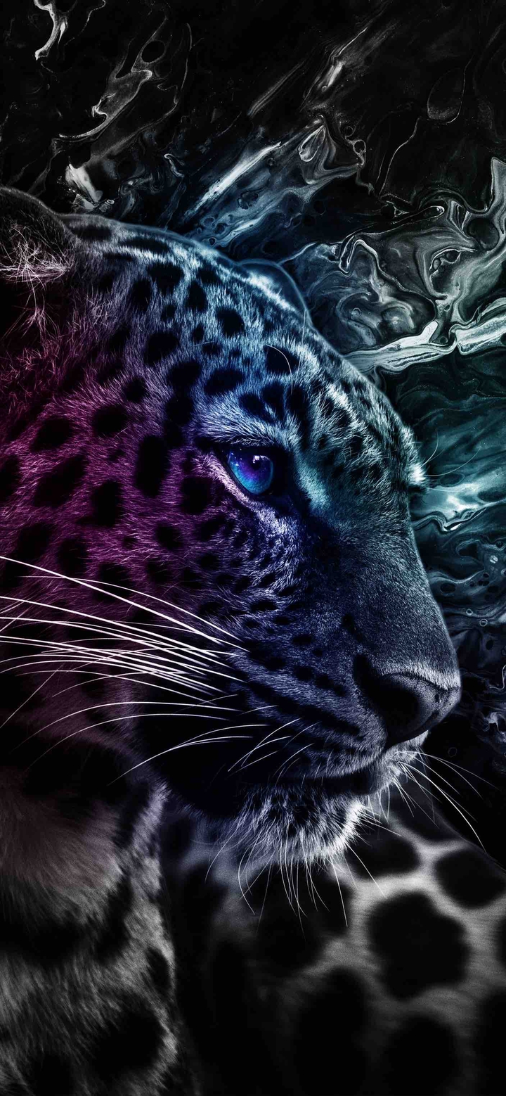 tiger