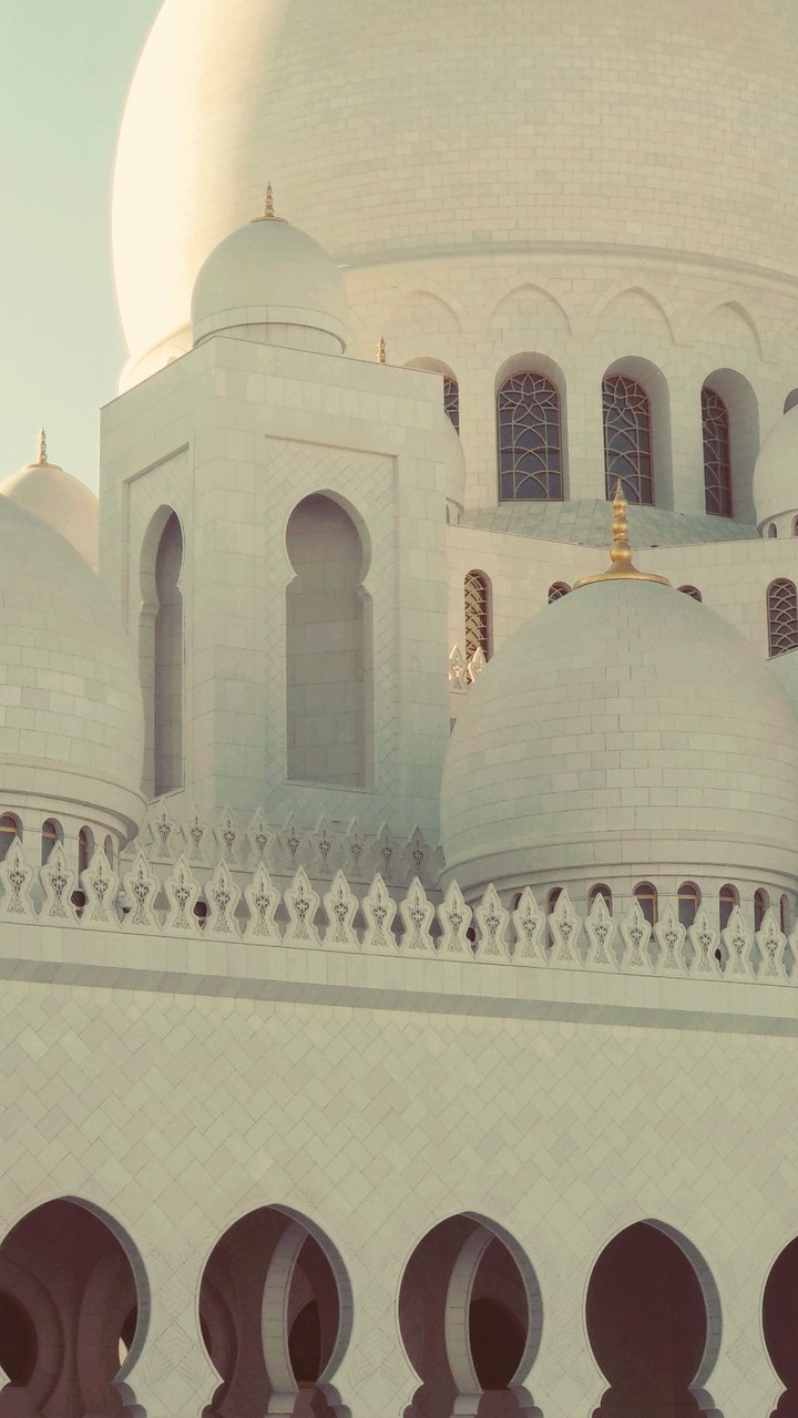 Shekh Zayed Masjid