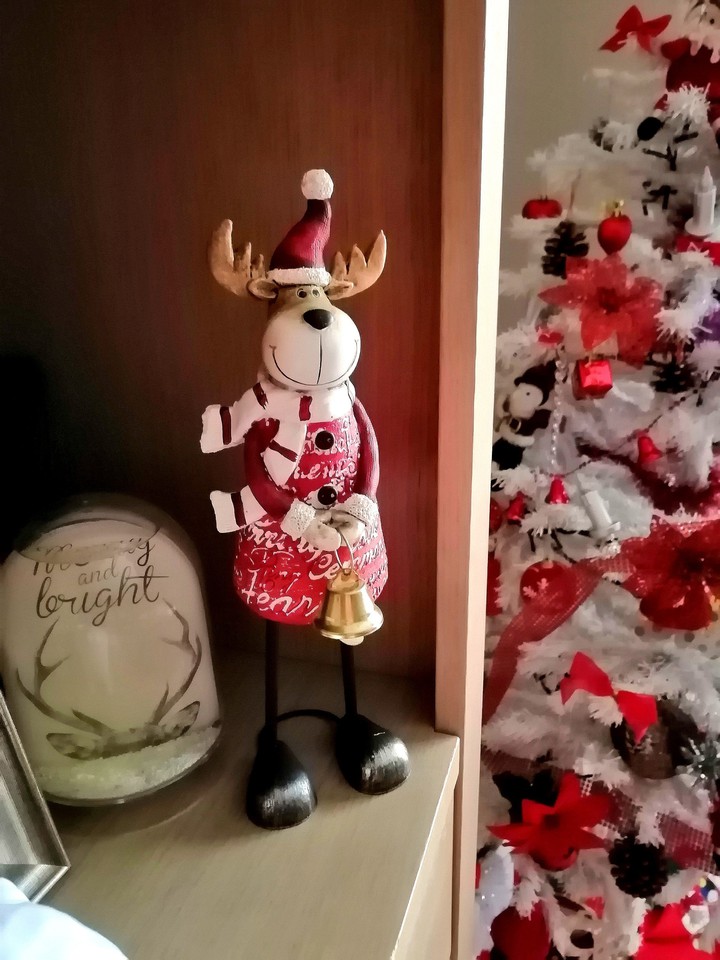 My Rudolph
