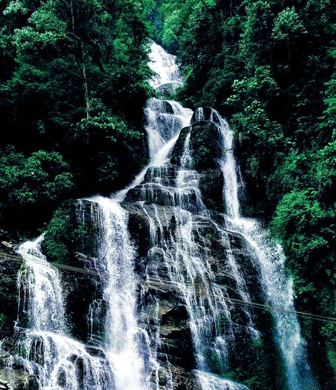 Nature