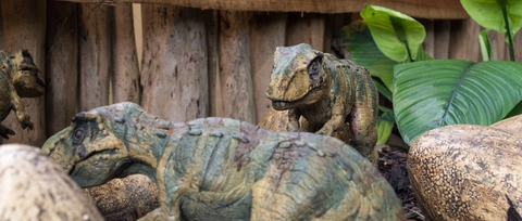 dinasor