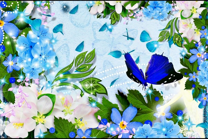 Butterfly