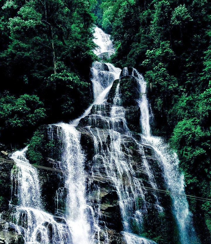 Nature