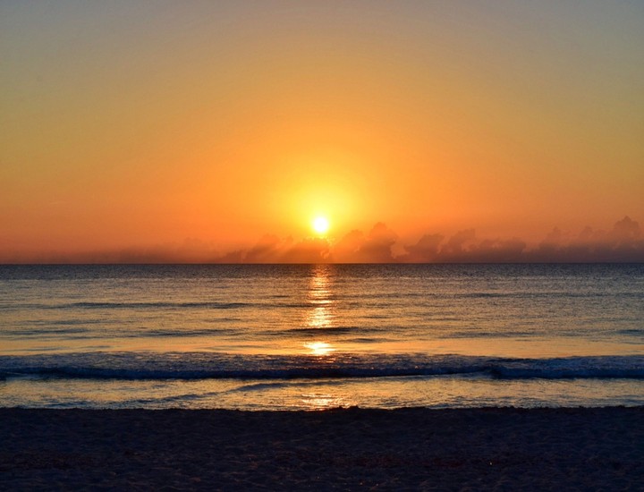 Golden Summer