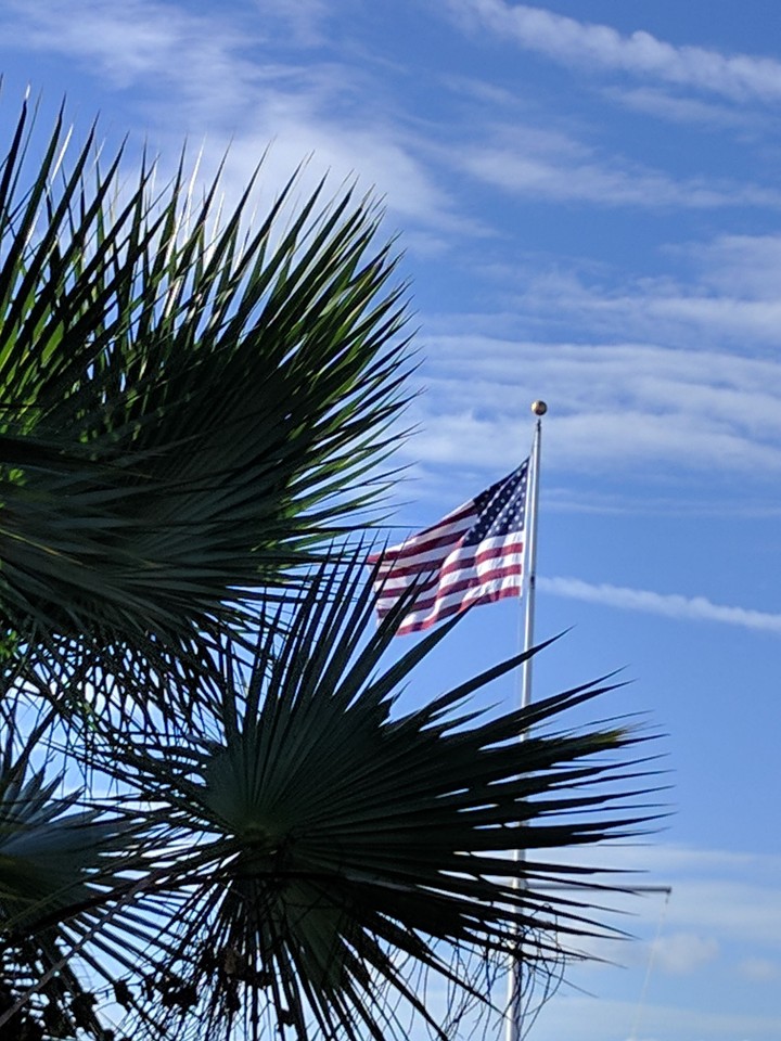Flag by Palms...