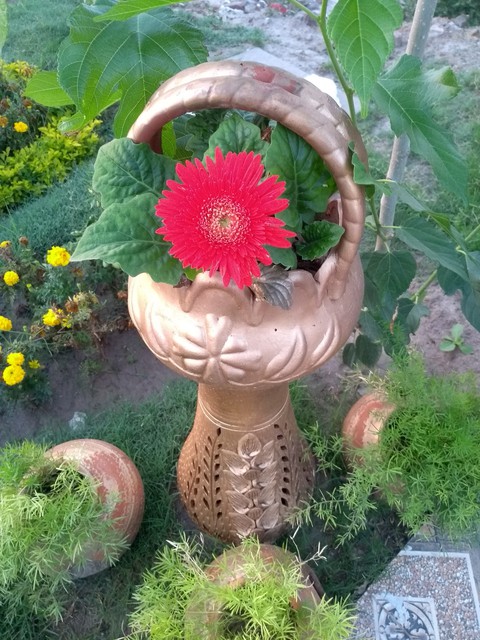 red flower