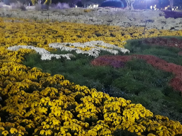 flowers festival