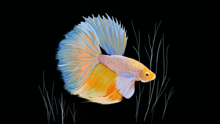 painting