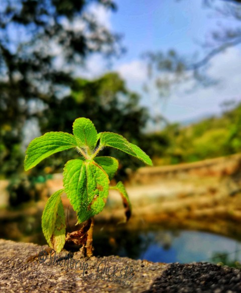 A new beginning...