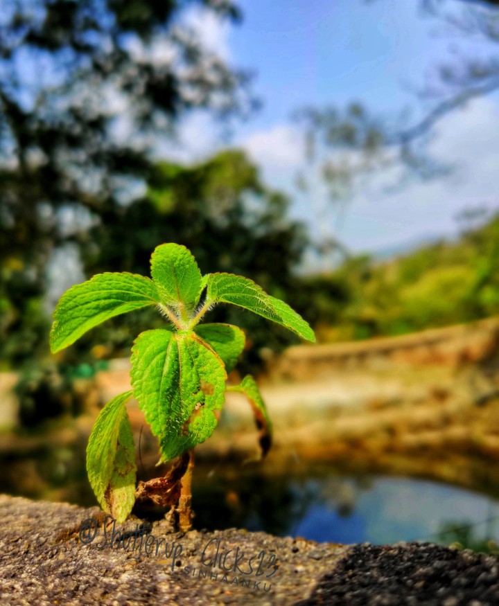 A new beginning...