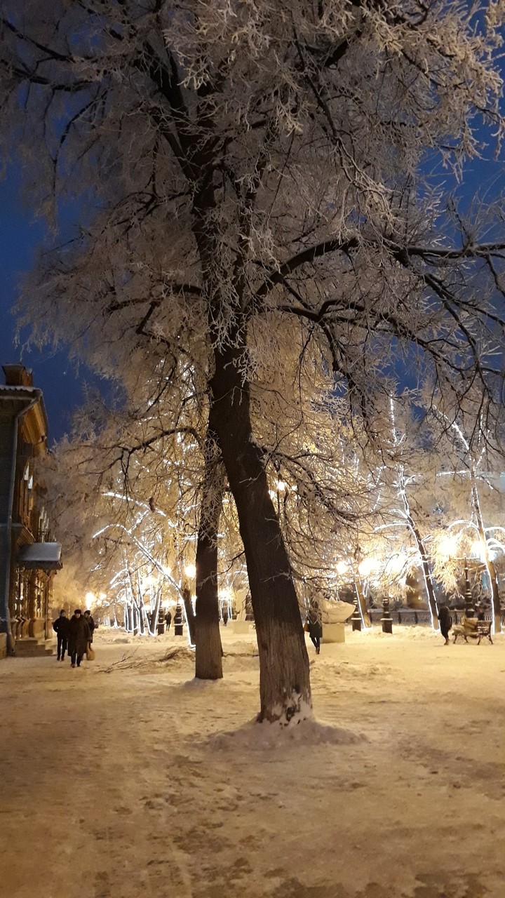 Зимушка