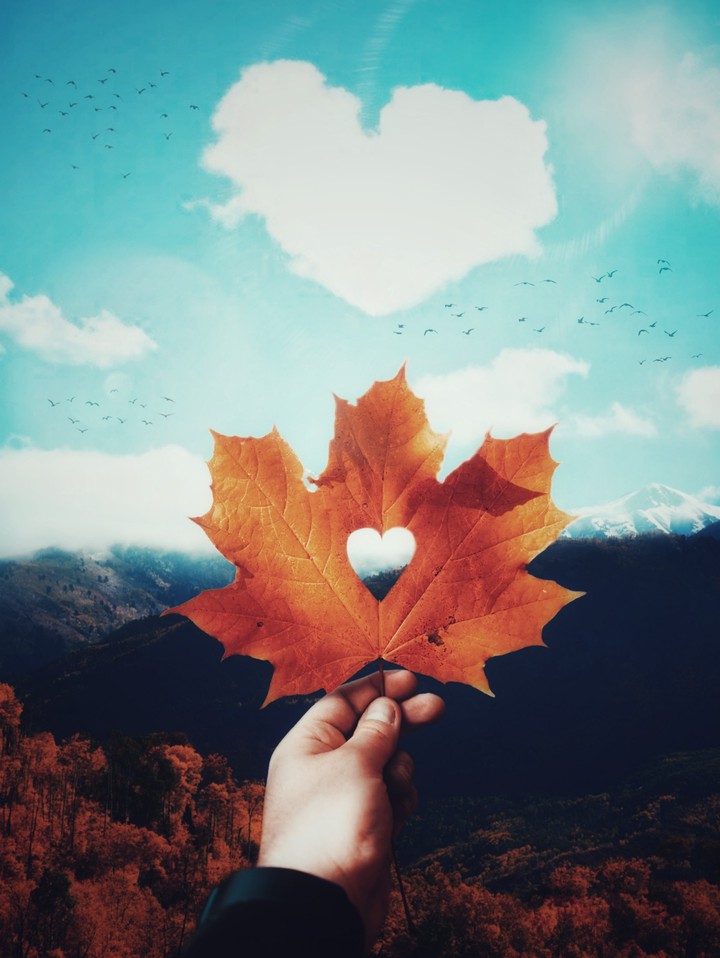 Heart