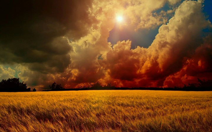 field