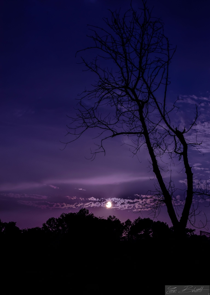 evening lights