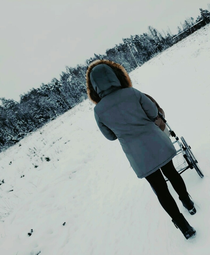 лес,прогулка