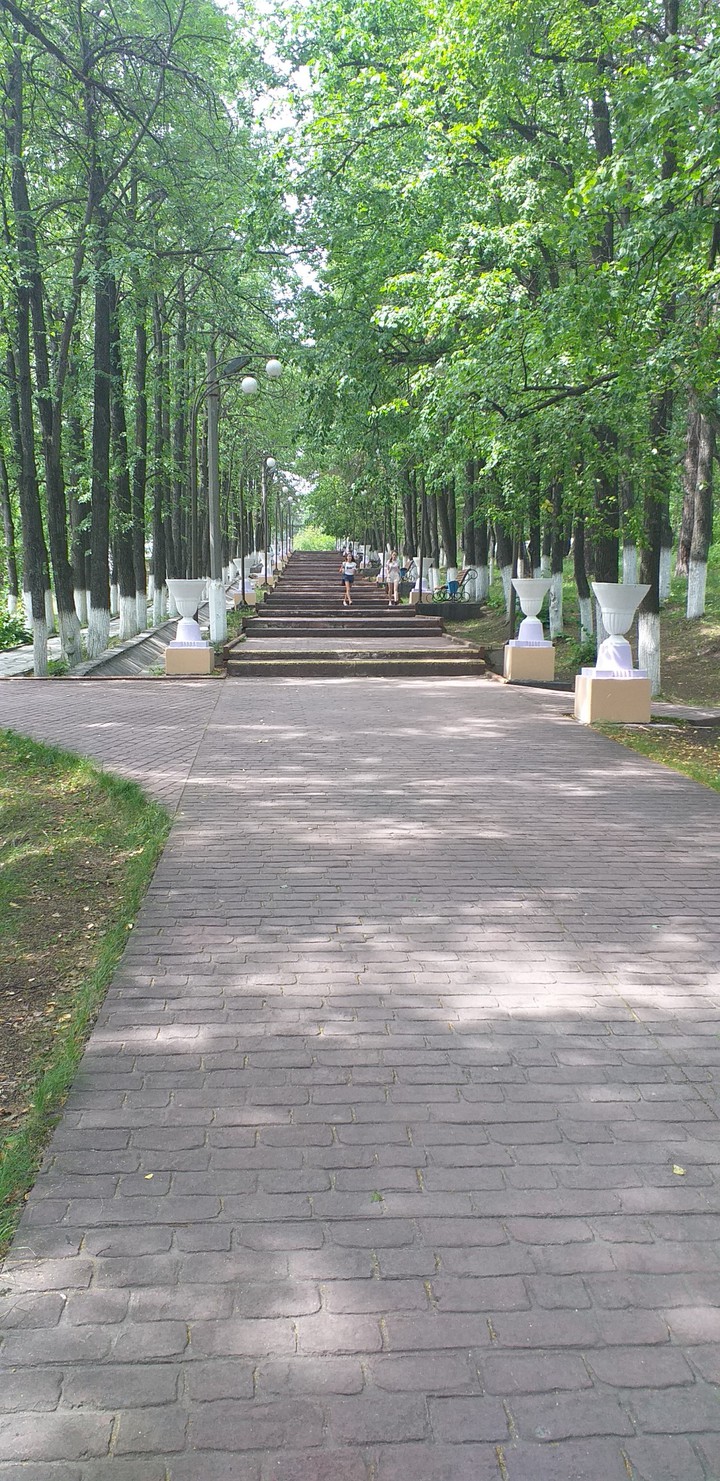 Длинная лестница