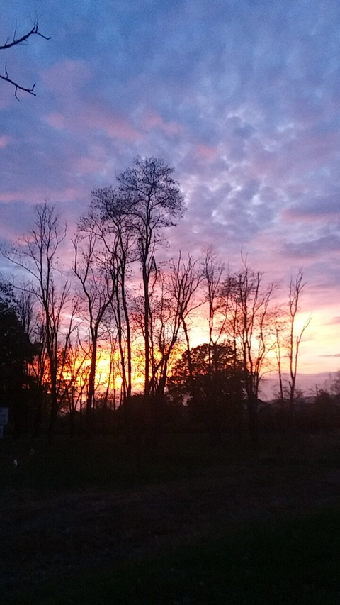 watching the sunset
