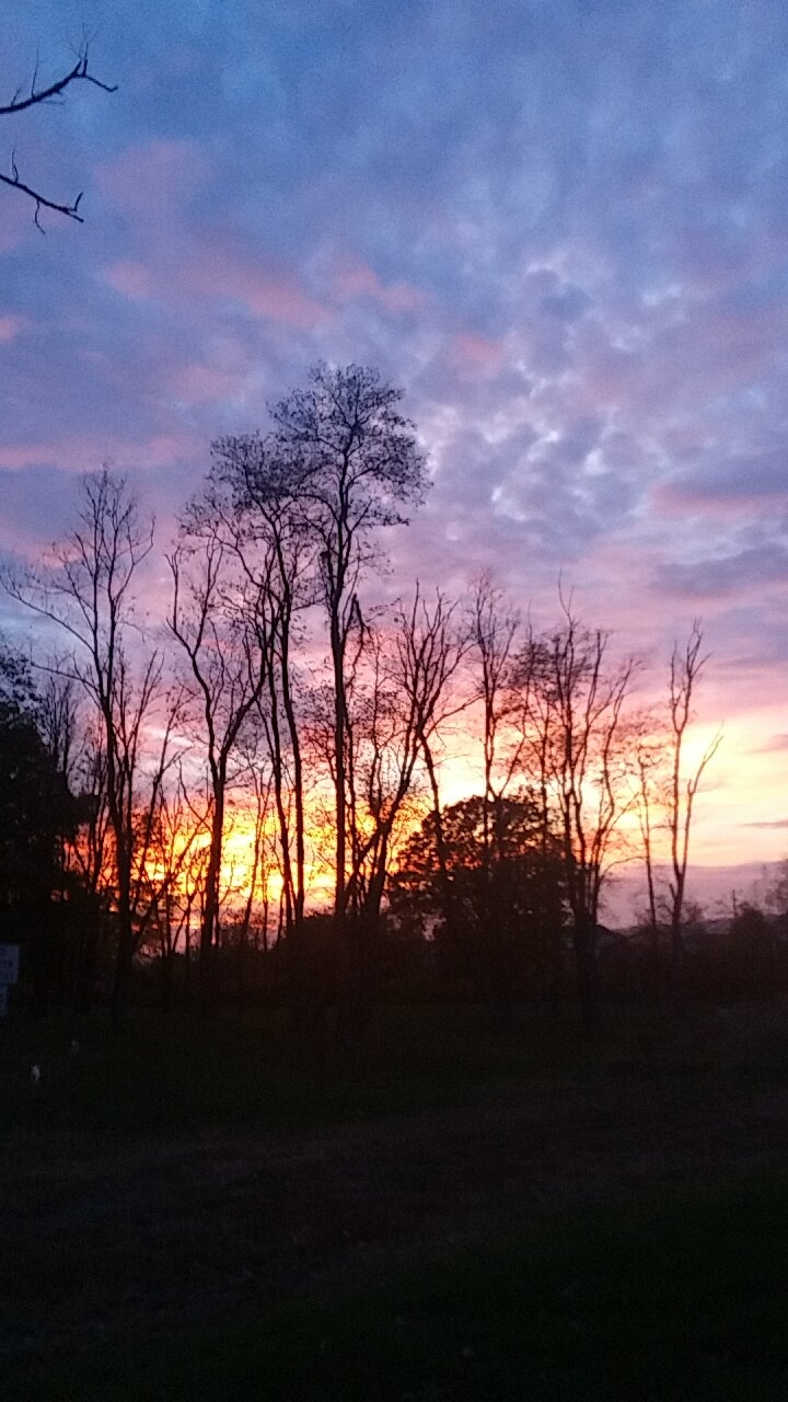 watching the sunset
