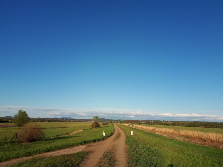 ['•¡•']