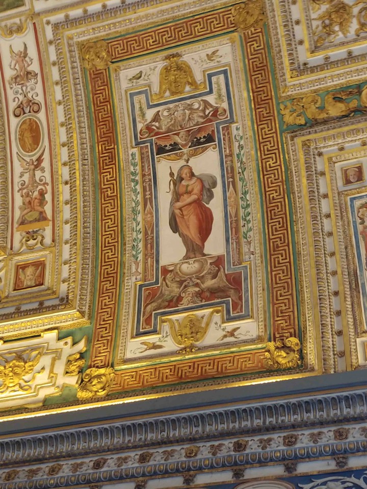 Vatican Museum Ceiling Paintings