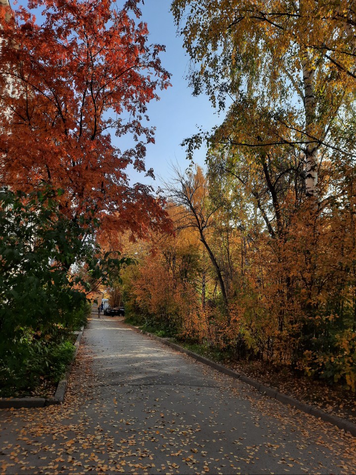 autumn