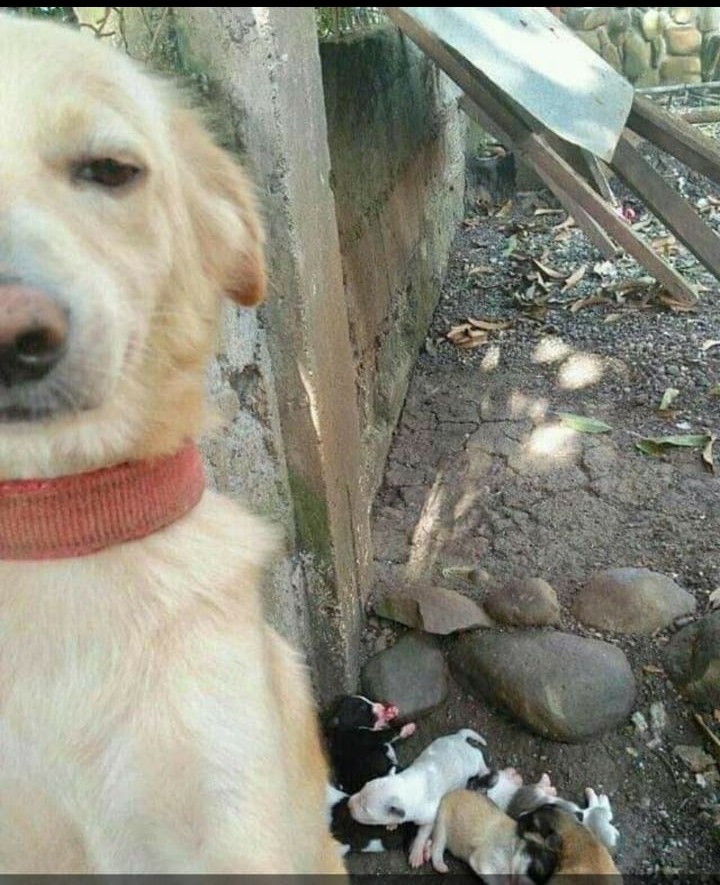 .