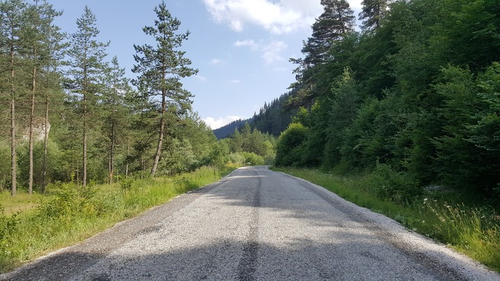 Forest Road