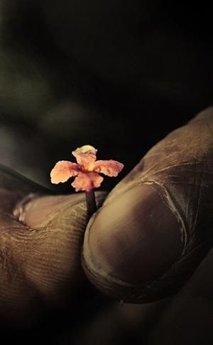 hope