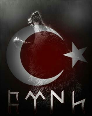 türk ulusu