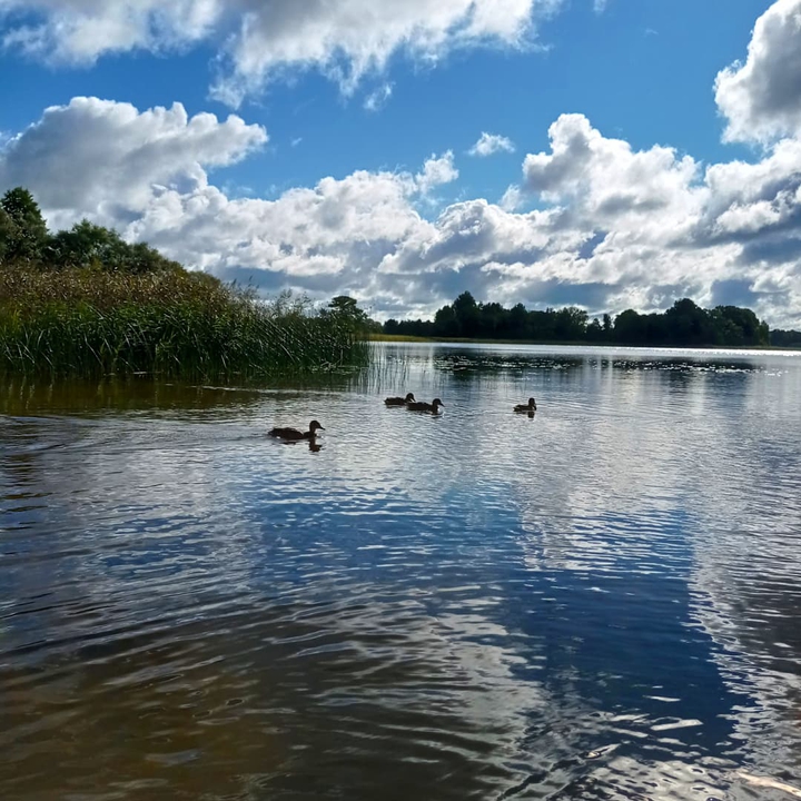 summer lake
