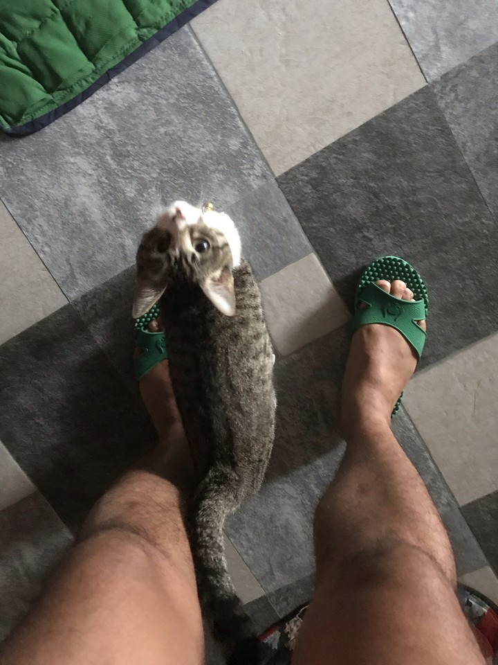 .