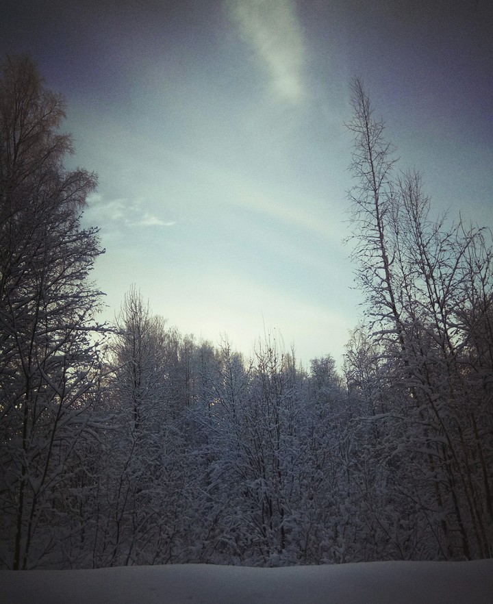 winter nature