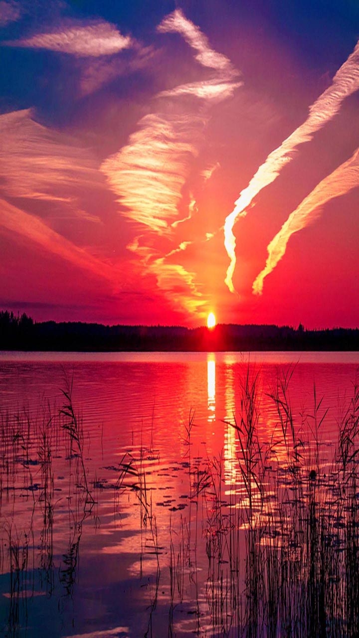 Red Horizon