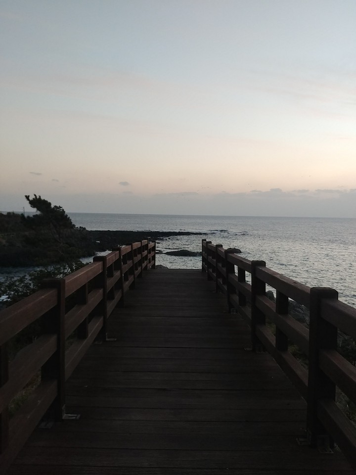 Only jeju