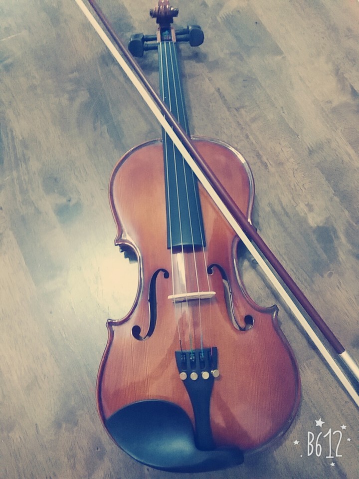 violin