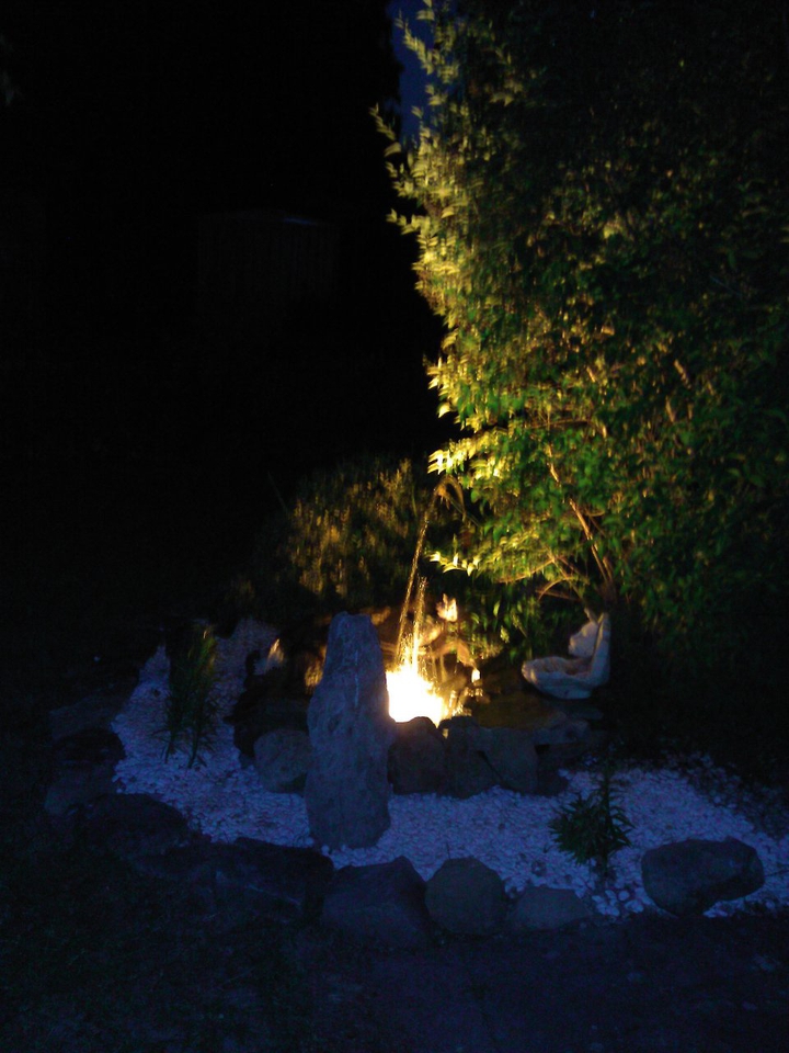 Kleiner Teich