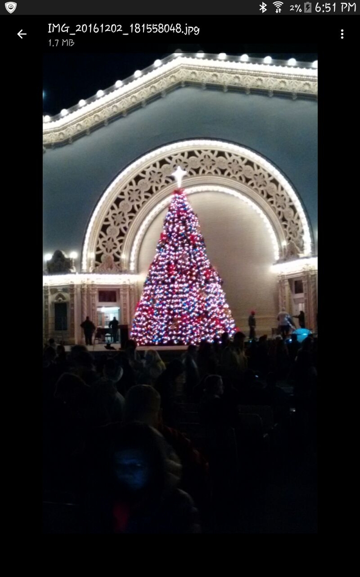 Christmas Tree