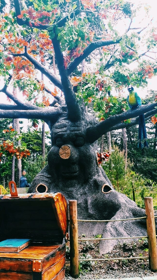 árbol que habla