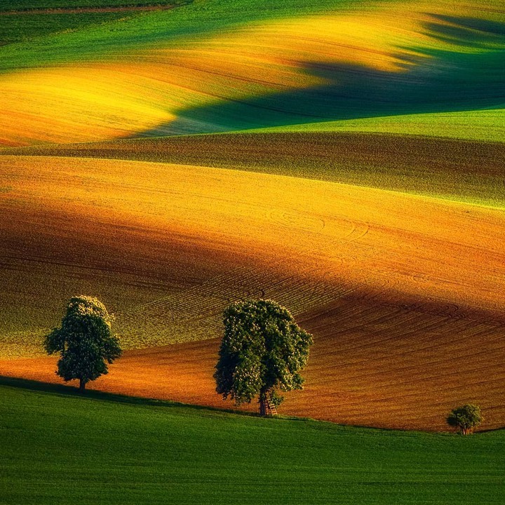 Morava