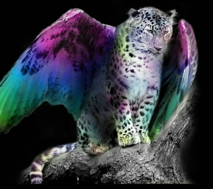 Wings of the Leopard