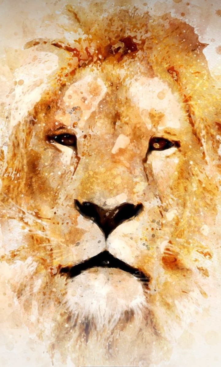 lion