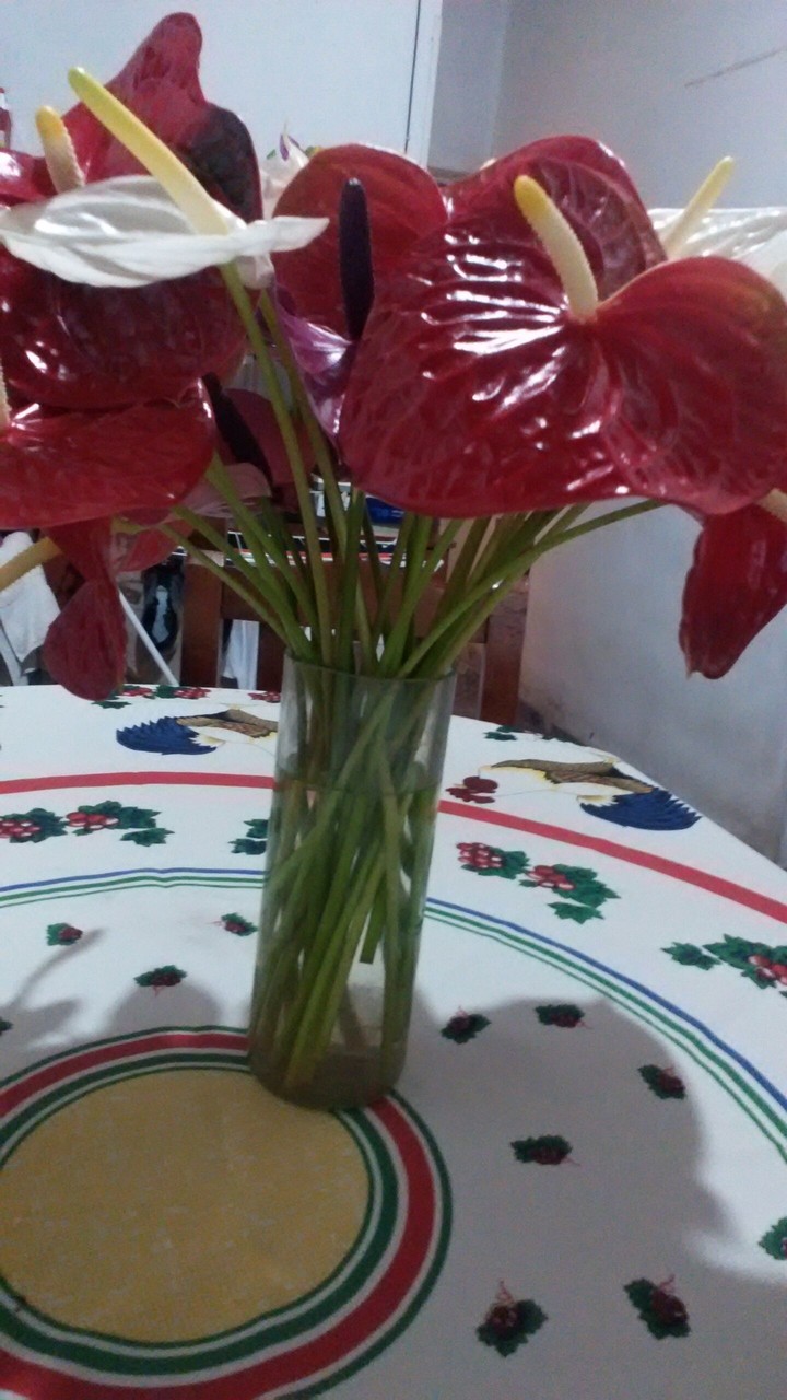 flor