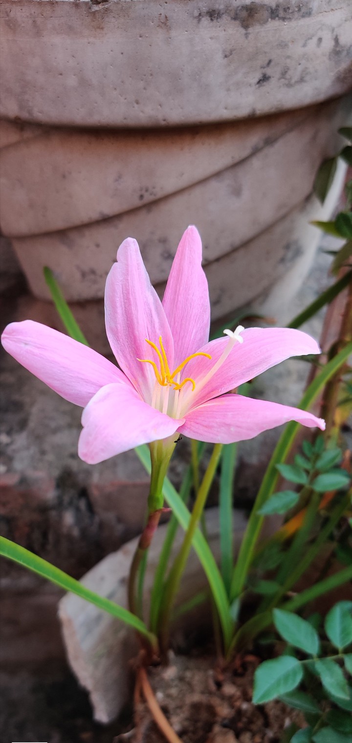 my click