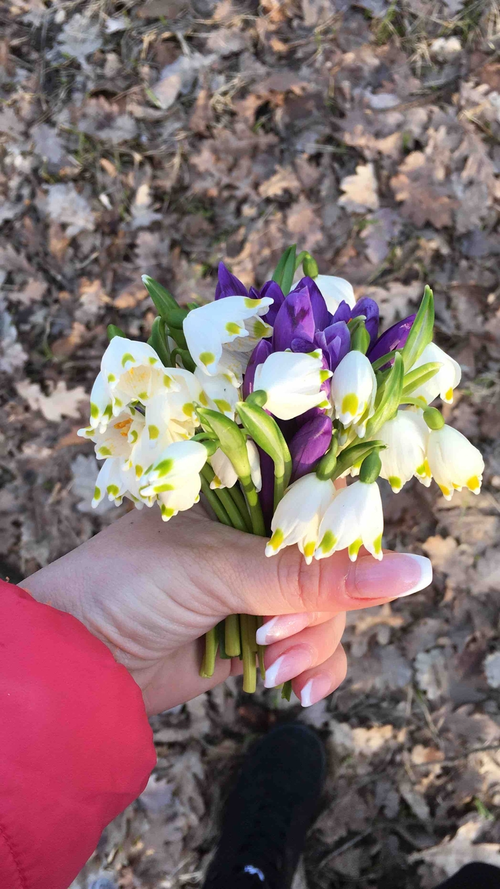 #flowers