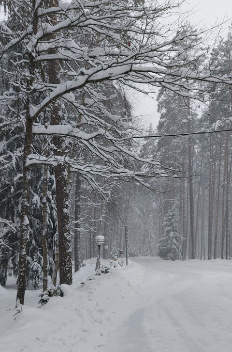 landscape, trunk Hintergrundbilder