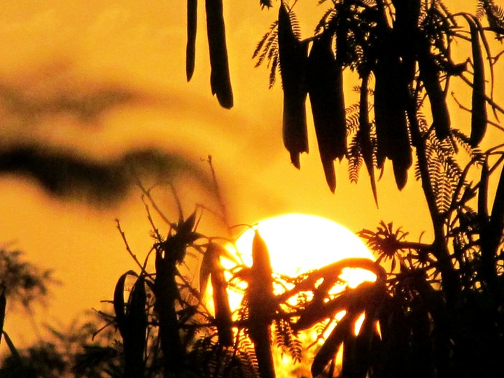 Nature's Golden moments