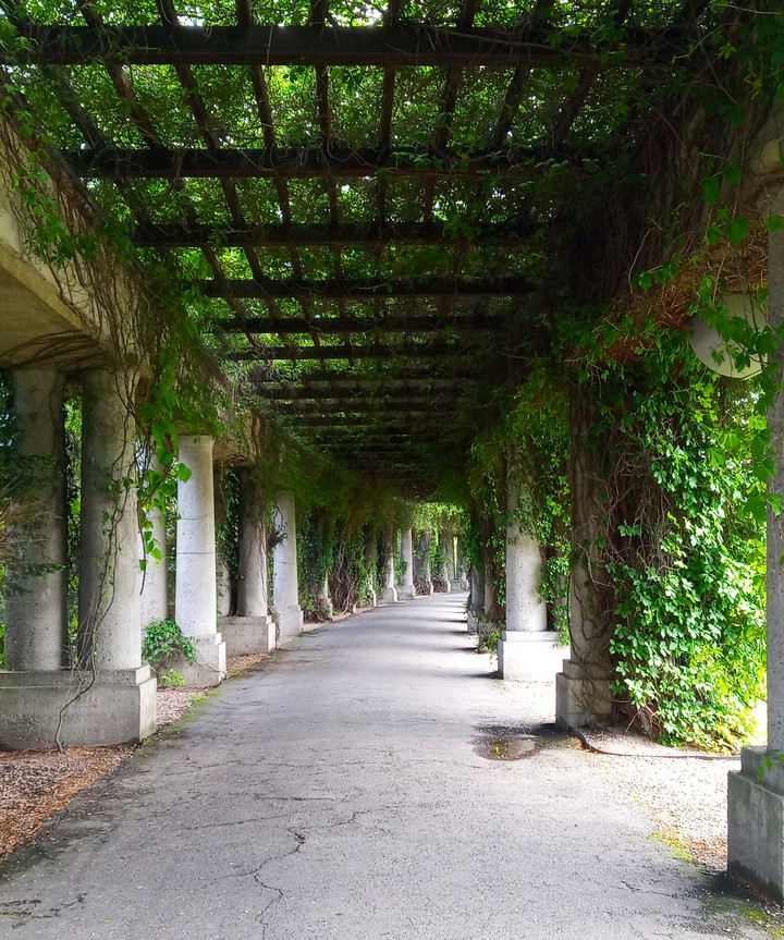 pergola